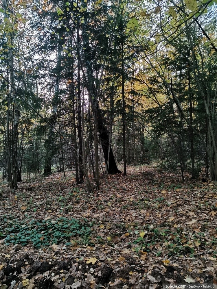 Грустный Миша — Авторские мишки Тедди и друзья: фото (фото 4)