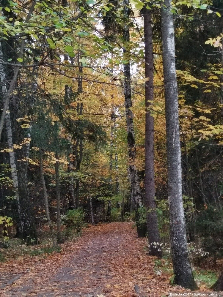 Грустный Миша — Авторские мишки Тедди и друзья: фото (фото 6)