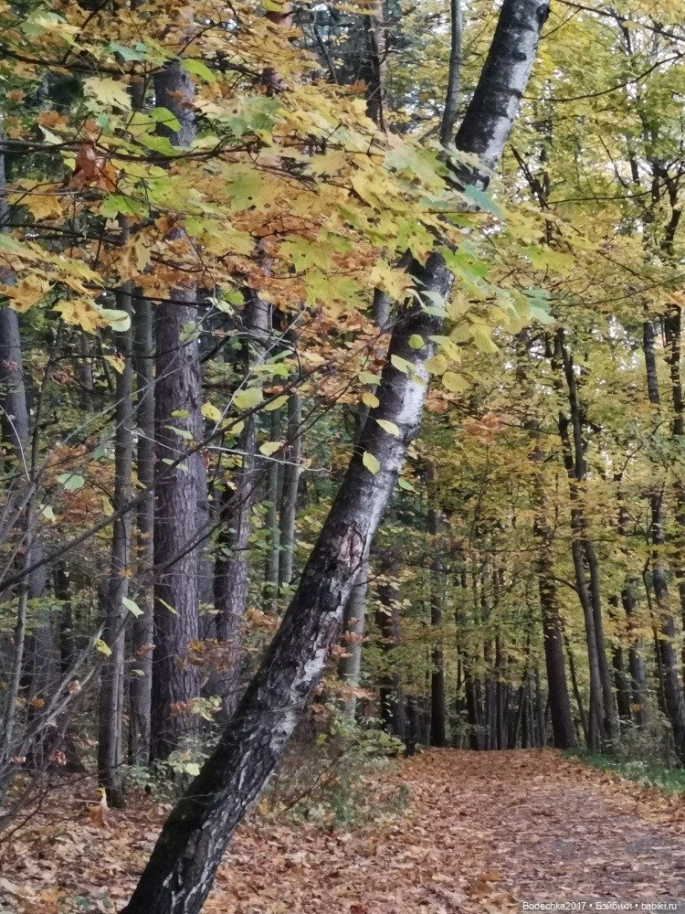 Грустный Миша — Авторские мишки Тедди и друзья: фото (фото 5)