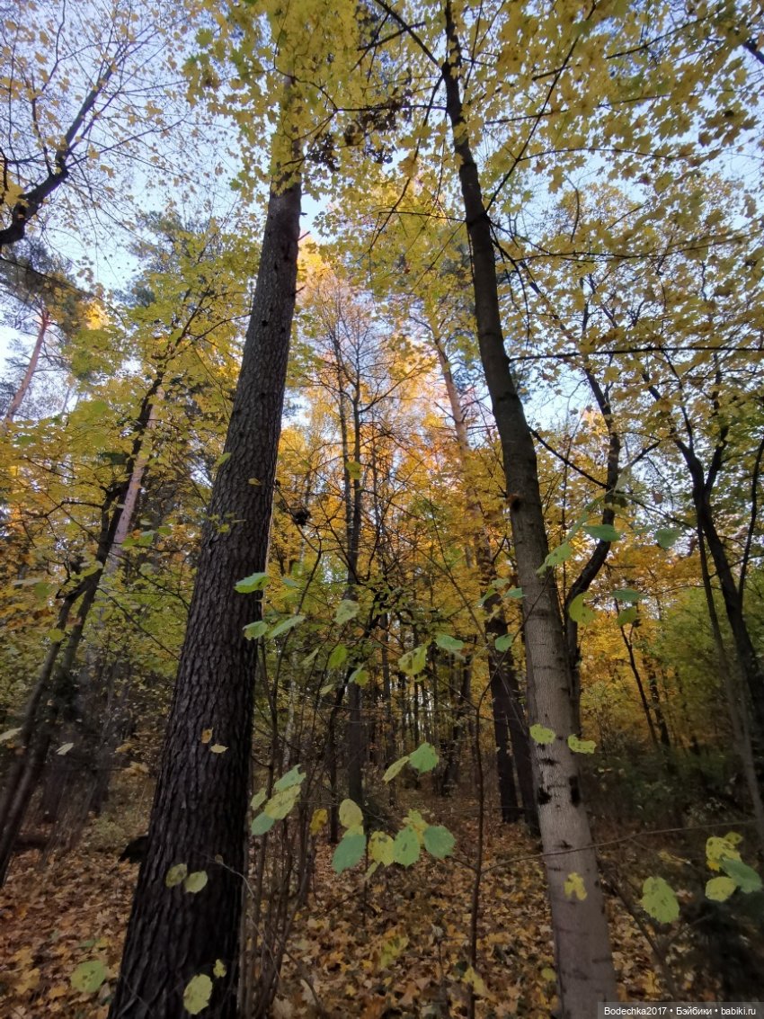 Грустный Миша — Авторские мишки Тедди и друзья: фото (фото 2)