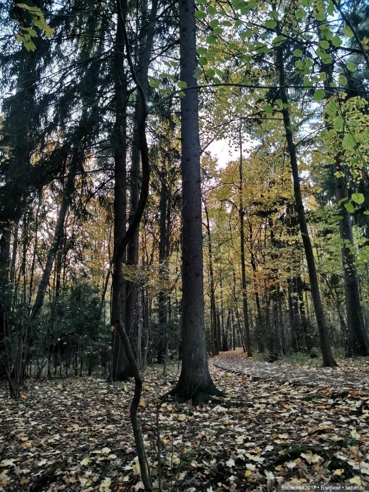 Грустный Миша — Авторские мишки Тедди и друзья: фото (фото 3)