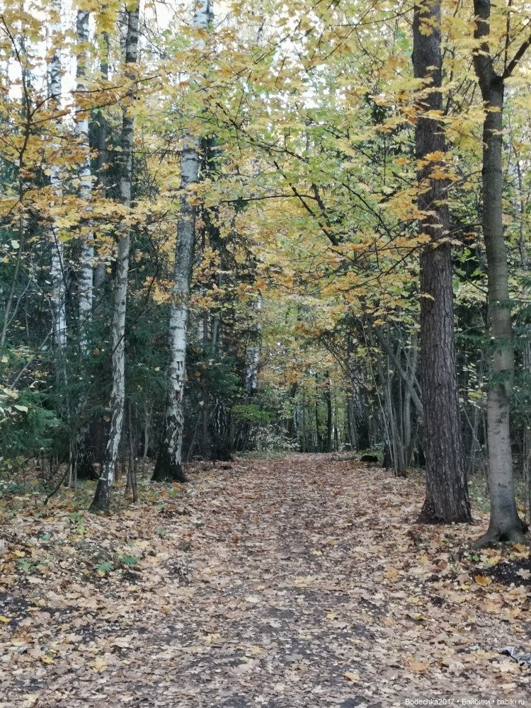 Грустный Миша — Авторские мишки Тедди и друзья: фото