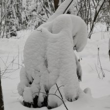 Зимняя сказка