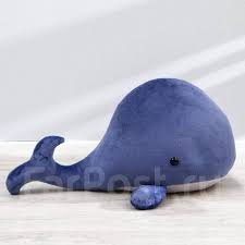 Всемирный день защиты морских млекопитающих