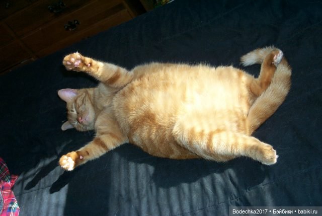 Кто на посту — Куклы D'Anton Jos (Д'Антон Джос): характерные (фото 2)