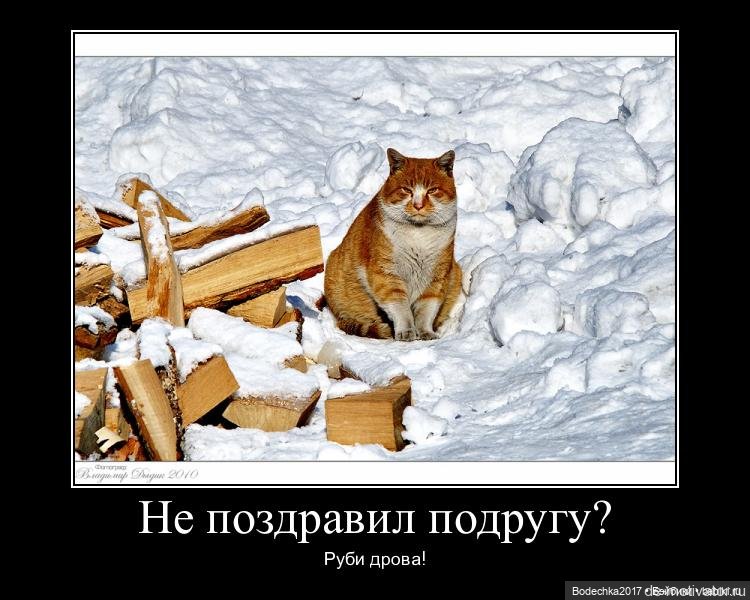 С самым прекрасным Женским Днем! Мяу