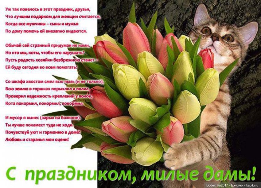 С самым прекрасным Женским Днем! Мяу (фото 2)