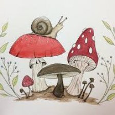 Мухоморы нужно знать как готовить