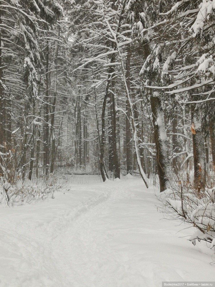 Прошел замечательный День счастья. А что такое счастье