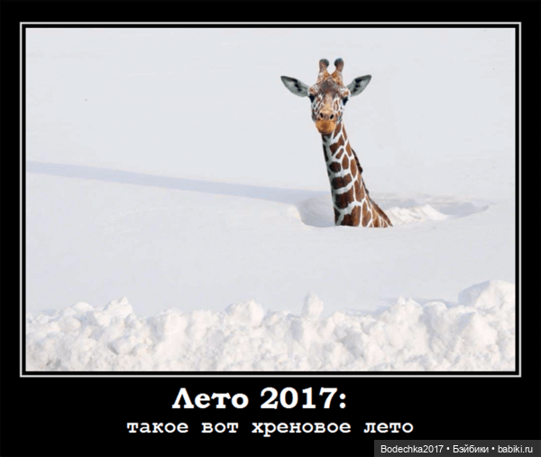 Кто колдует с погодой — Домашние коллекции кукол: фото собраний (фото 4)