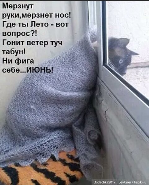 Кто колдует с погодой — Домашние коллекции кукол: фото собраний (фото 6)