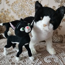 Неземные кошки