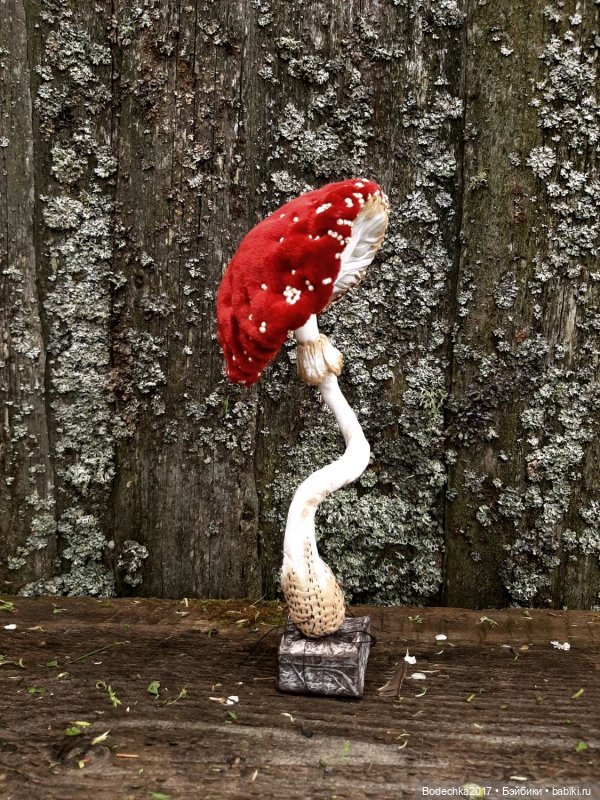 Прекрасный мухомор — Другие хобби и увлечения: сад (фото 7)