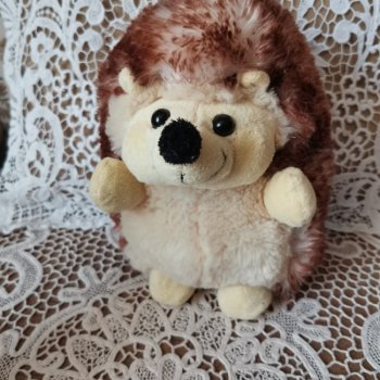 Сегодня День Ежа