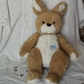 Зайку бросила хозяйка