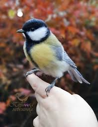 Велесова ночь — Интересное и необычное: фотоподборки (фото 9)