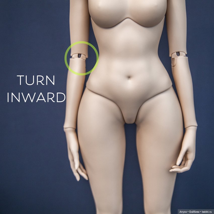 Обзор тела SartoriaJ 61 Aphrodite (БЖД) (фото 3)