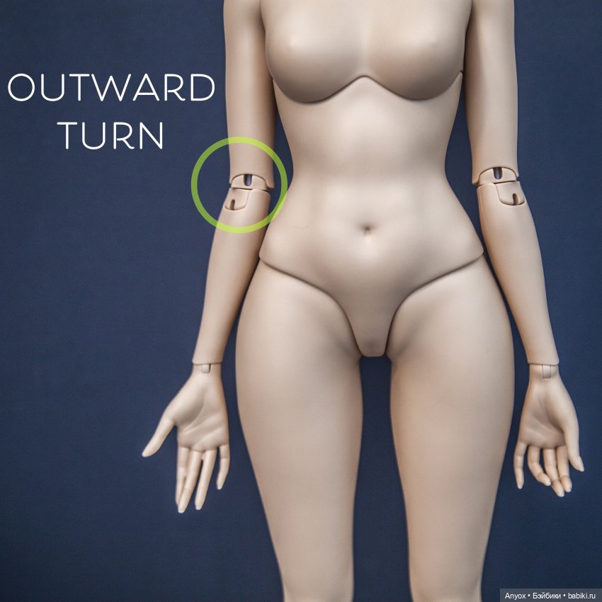 Обзор тела SartoriaJ 61 Aphrodite (БЖД) (фото 4)