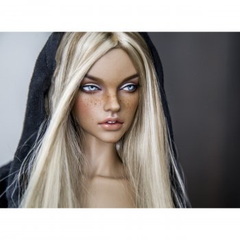 Стелла, неприличный кот и 2 пса. Осторожно, шок-контент