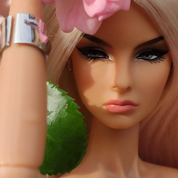 Сад после дождя