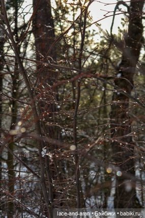 Чудесная встреча — Вязаные игрушки и амигуруми: крючком (фото 5)