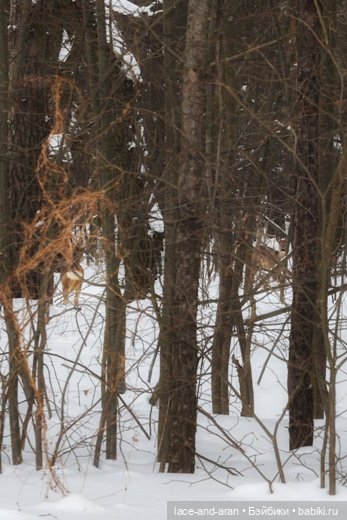 Чудесная встреча — Вязаные игрушки и амигуруми: крючком