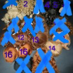 Винтажные парики для кукол Размер 9"-10"