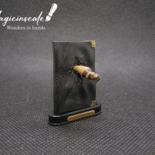 Миниатюрный дневник Тома Реддла