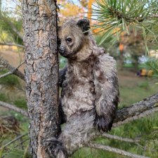 Медвежонок  Хулиган