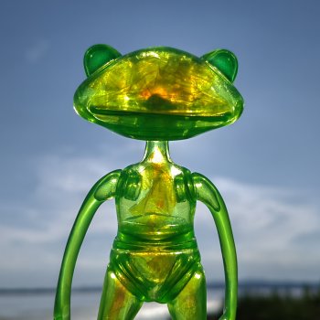 У нас новая лягушка Wonder Frog