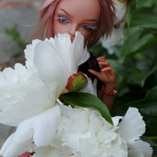 Покажемся с обновленной Мивой