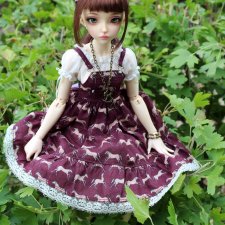 Знакомьтесь, моя Minifee Liria