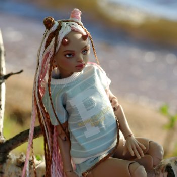 Беська на прогулке вечером