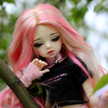 Бенития, яркая красавица