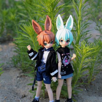 Зайцы покорили и мое сердечко