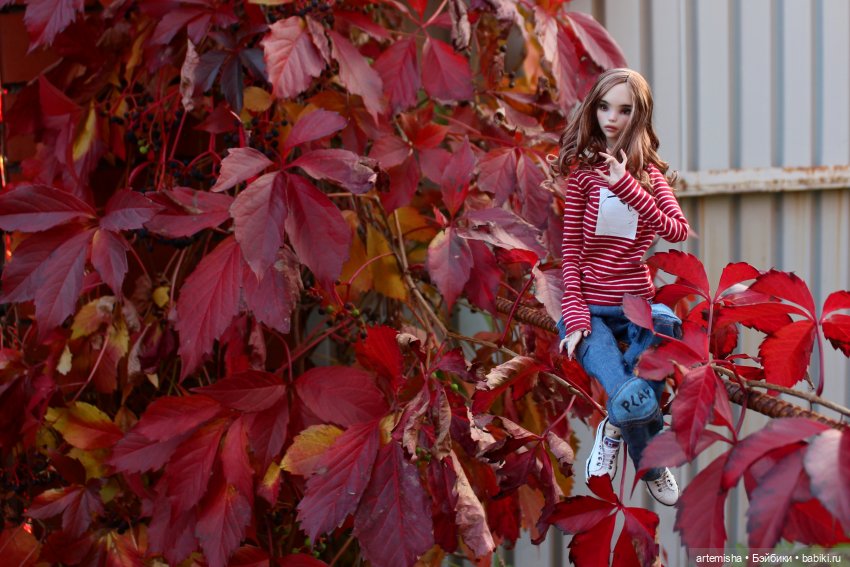 Chimera Mink осеннее — Куклы Chimera Doll (Нина Куриленко): российские BJD (БЖД) (фото 8)