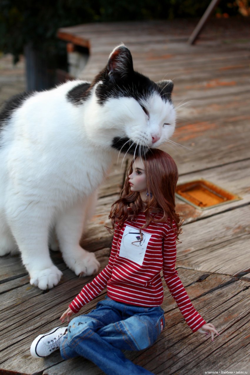 Chimera Mink осеннее — Куклы Chimera Doll (Нина Куриленко): российские BJD (БЖД) (фото 3)