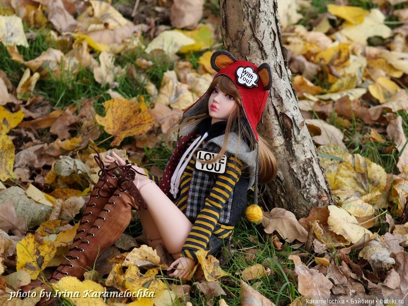 Солнечная палитра осеннего леса