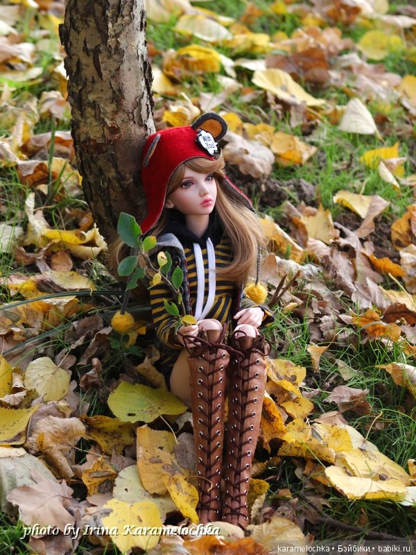 Солнечная палитра осеннего леса