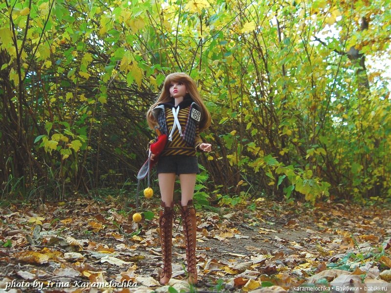 Солнечная палитра осеннего леса (фото 4)