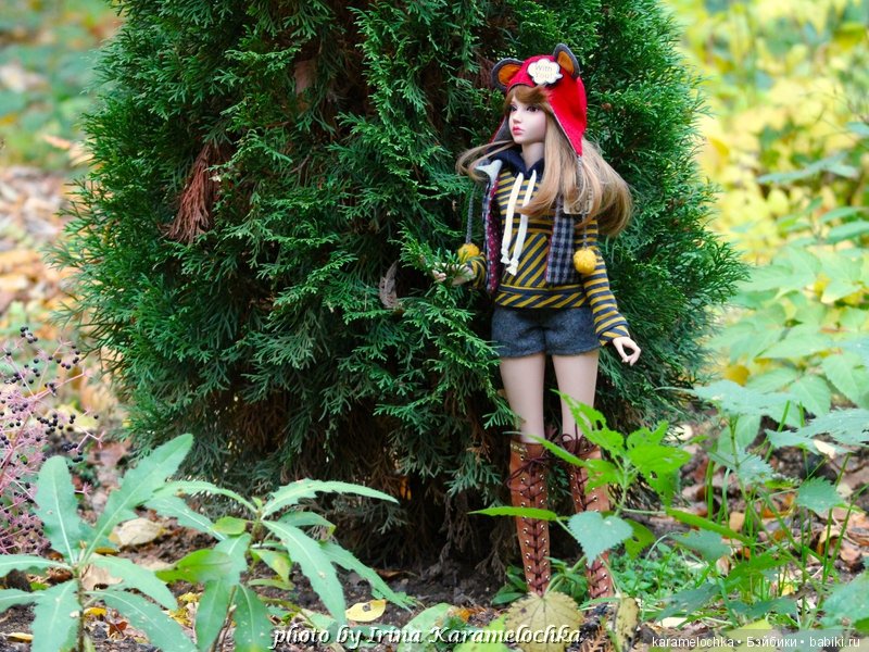 Солнечная палитра осеннего леса (фото 6)