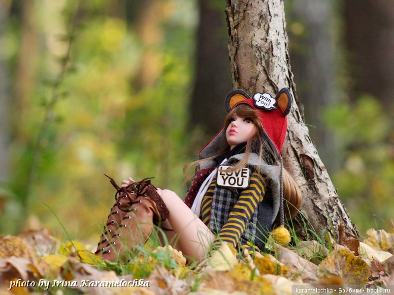 Солнечная палитра осеннего леса