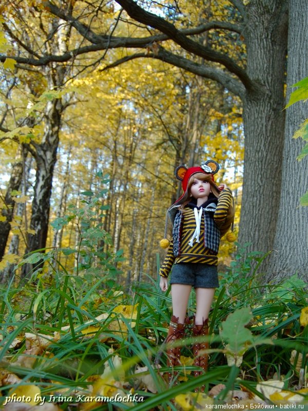 Солнечная палитра осеннего леса