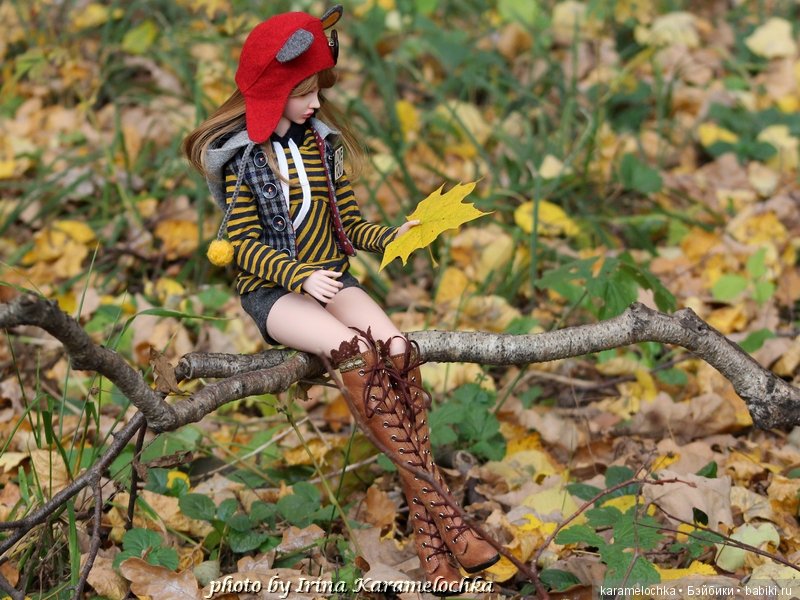 Солнечная палитра осеннего леса (фото 9)