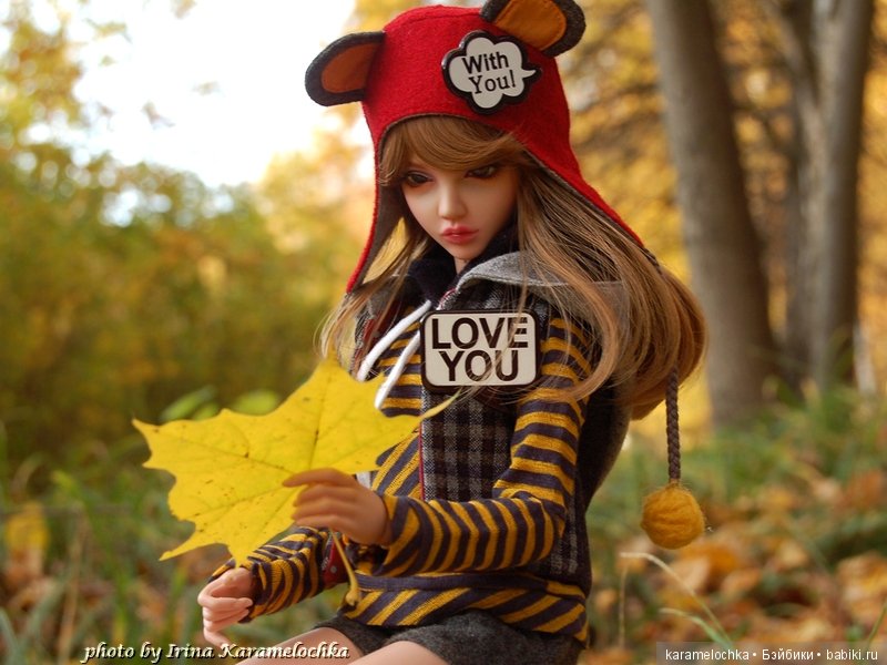 Солнечная палитра осеннего леса (фото 10)