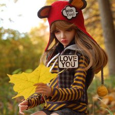 Солнечная палитра осеннего леса