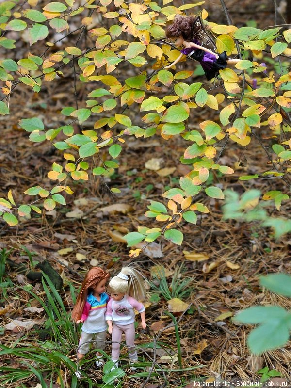 Доигрались. Как заблудиться в лесу, не выходя из дома