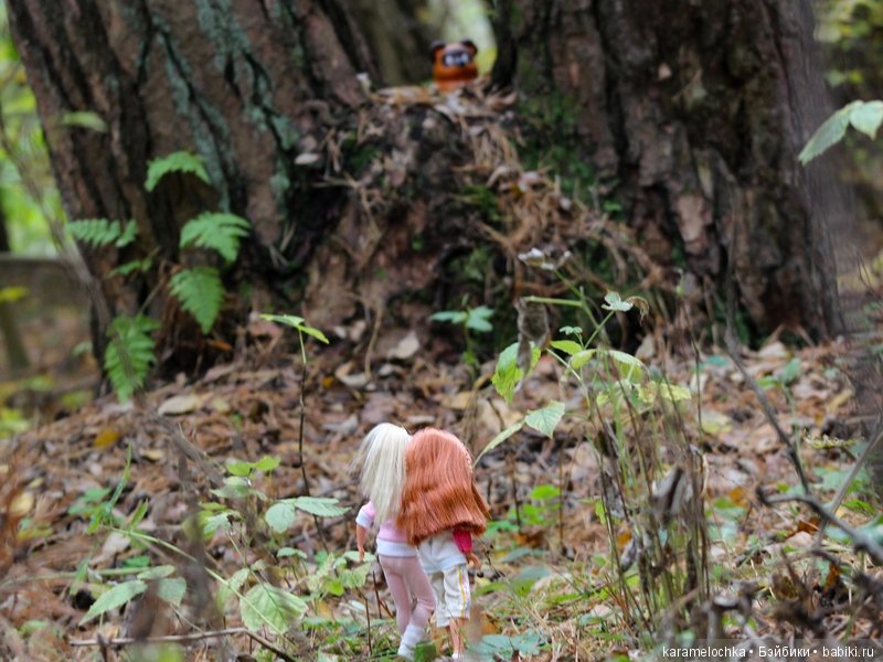 Доигрались. Как заблудиться в лесу, не выходя из дома