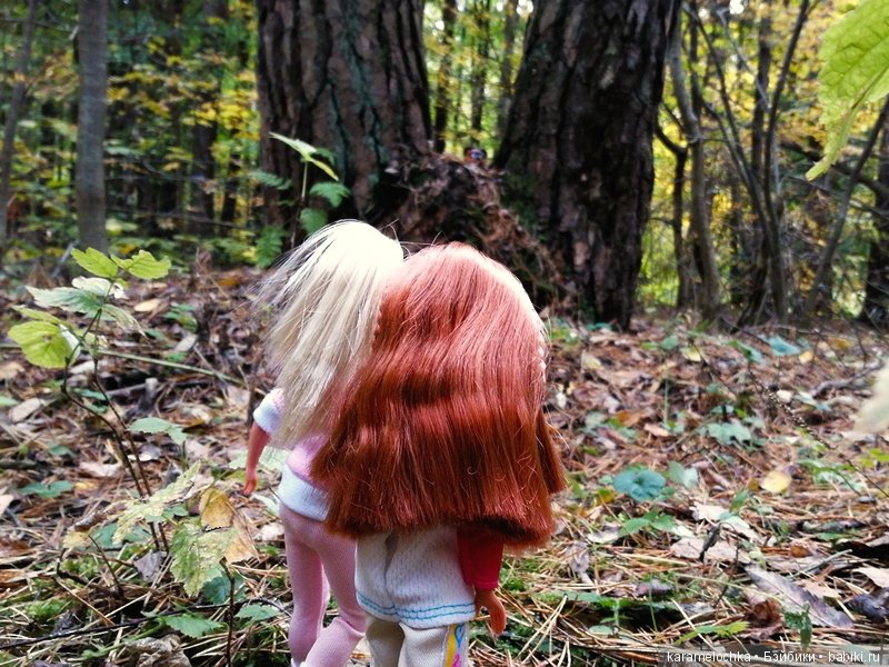 Доигрались. Как заблудиться в лесу, не выходя из дома (фото 10)