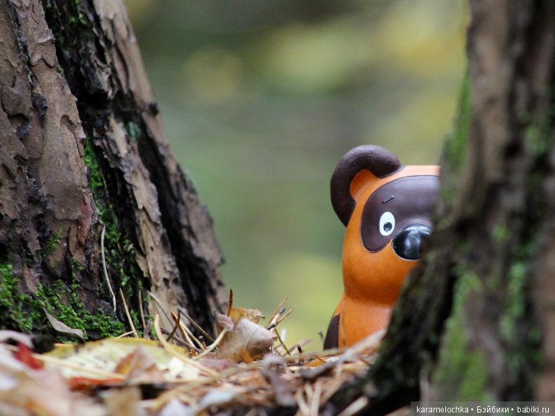 Доигрались. Как заблудиться в лесу, не выходя из дома